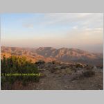 20060812_JoshuaYuccaTree_036 copia.jpg